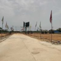 Land Buy and Sale Consulting